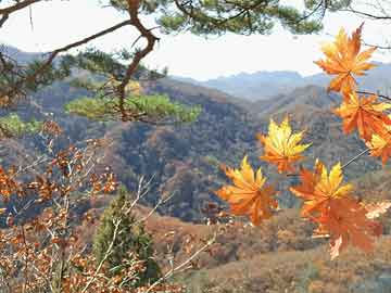 深度解析区块链时代的对倒交易：风险与防范